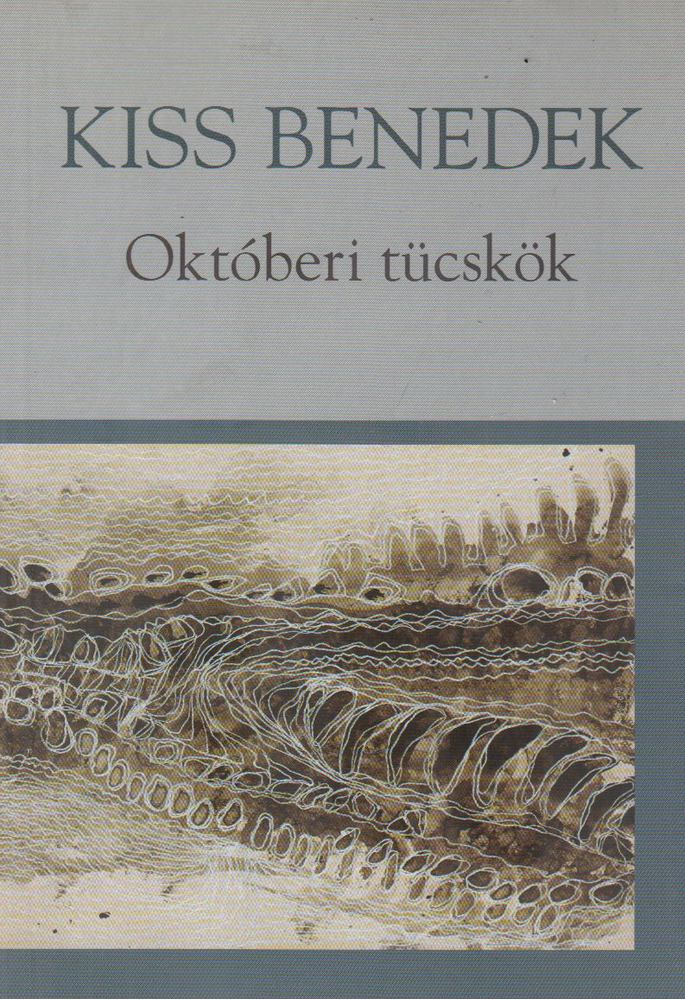 Kiss Benedek - Októberi tücskök [antikvár]
