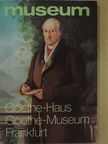 Doris Hopp - Freies Deutsches Hochstift Frankfurter Goethe-Museum Frankfurt am Main [antikvár]