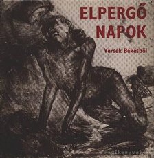 Tóth Lajos - Elpergő napok [antikvár]