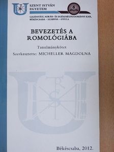 Lonovics László - Bevezetés a romológiába [antikvár]