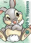 Disney - 100% Toppancs