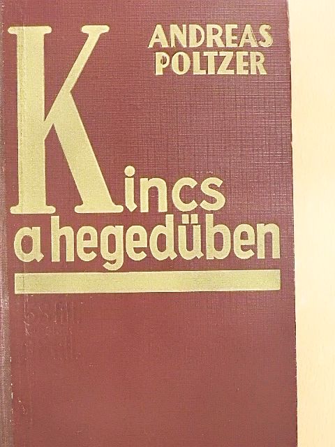 Andreas Poltzer - Kincs a hegedűben [antikvár]