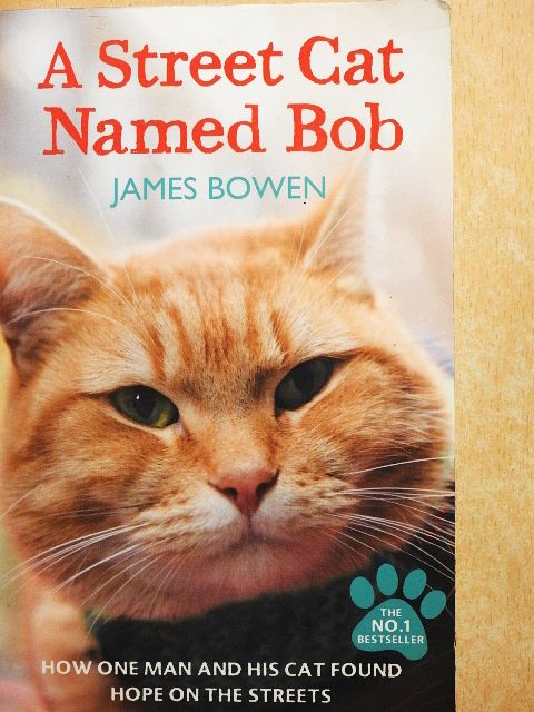 James Bowen - A Street Cat Named Bob [antikvár]