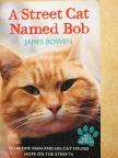 James Bowen - A Street Cat Named Bob [antikvár]