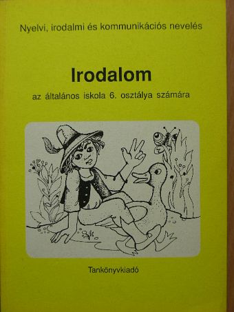 Zsolnai Anikó - Irodalom 6. [antikvár]
