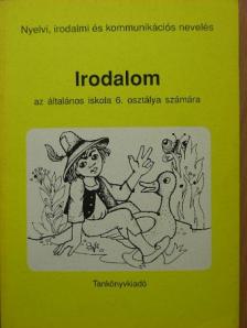 Zsolnai Anikó - Irodalom 6. [antikvár]
