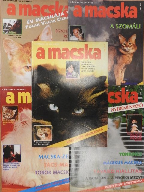 Dr. Király Péter - A macska 1997. (nem teljes évfolyam) [antikvár]