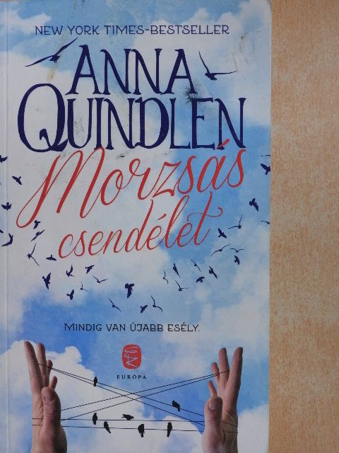 Anna Quindlen - Morzsás csendélet [antikvár]