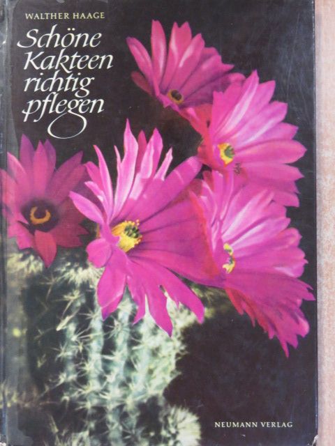 Walther Haage - Schöne Kakteen richtig pflegen [antikvár]