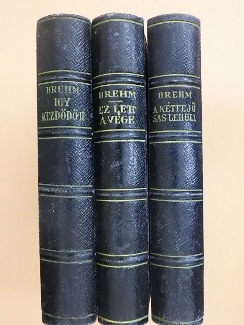 Bruno Brehm - Igy kezdődött/Ez lett a vége/A kétfejű sas lehull [antikvár]