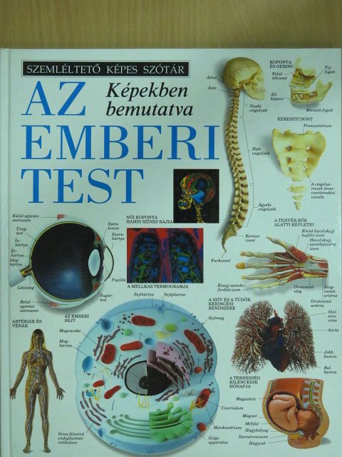 Az emberi test [antikvár]