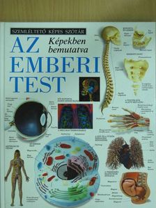 Az emberi test [antikvár]