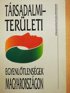 Dövényi Zoltán - Társadalmi-területi egyenlőtlenségek Magyarországon [antikvár]