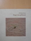 Pál-Molnár Elemér - Negyven pillanat (dedikált példány) [antikvár]