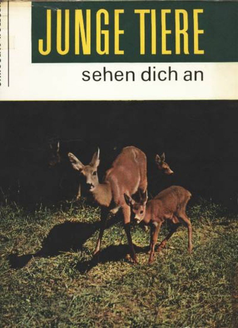 JAROSLAV HOLECEK - Junge Tiere sehen dich an [antikvár]