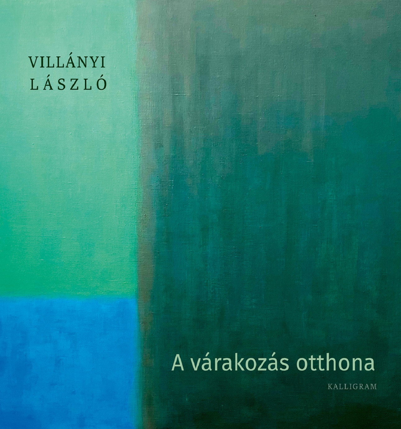 Villányi László - A várakozás otthona