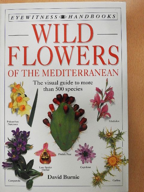David Burnie - Wild Flowers of the Mediterranean [antikvár]