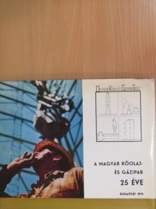 A magyar kőolaj- és gázipar 25 éve [antikvár]