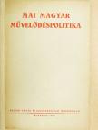 Mai magyar művelődéspolitika [antikvár]