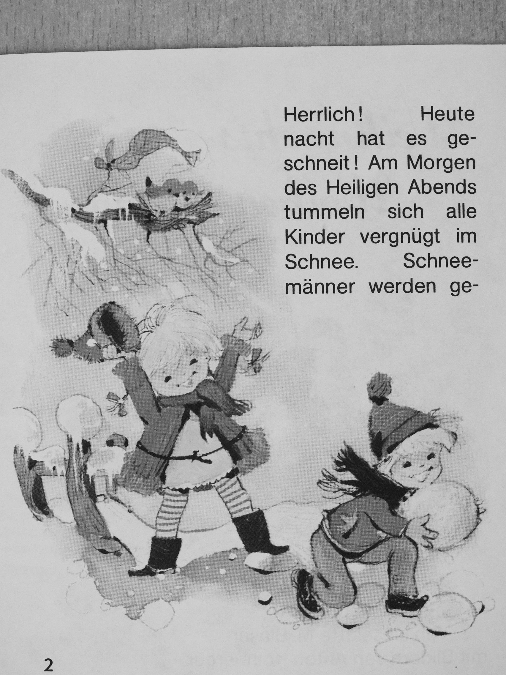 Lieselotte M. Blasen - Weihnachts-Wolken-Wunder [antikvár]