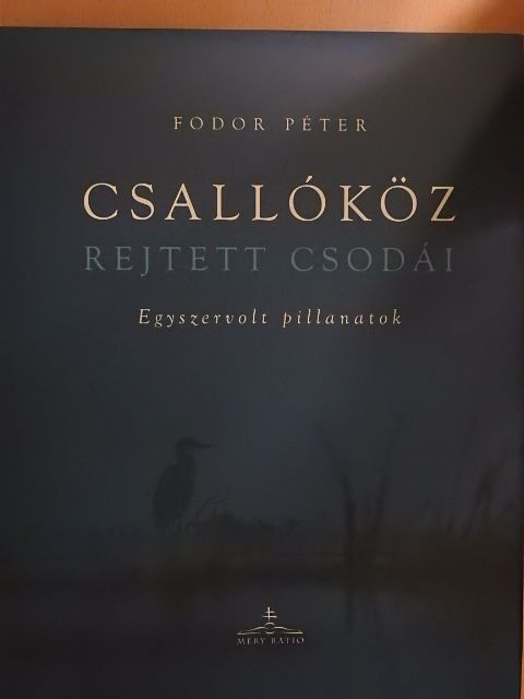 Fodor Péter - Csallóköz rejtett csodái [antikvár]
