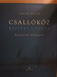 Fodor Péter - Csallóköz rejtett csodái [antikvár]