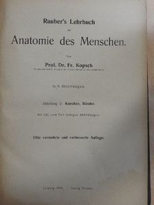 Prof. Fr. Kopsch - Rauber's Lehrbuch der Anatomie des Menschen Abteilung 2. (töredék) [antikvár]