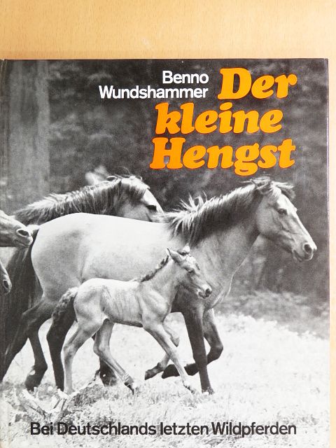 Benno Wundshammer - Der Kleine Hengst [antikvár]