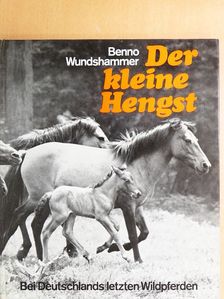Benno Wundshammer - Der Kleine Hengst [antikvár]