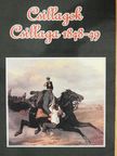B. Palocsai Erzsébet - Csillagok csillaga 1848-49 [antikvár]