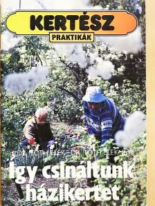Dr. Tóth Elek - Így csináltunk házikertet [antikvár]
