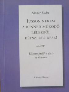 Sándor Endre - Jusson nekem a benned működő lélekből kétszeres rész! [antikvár]