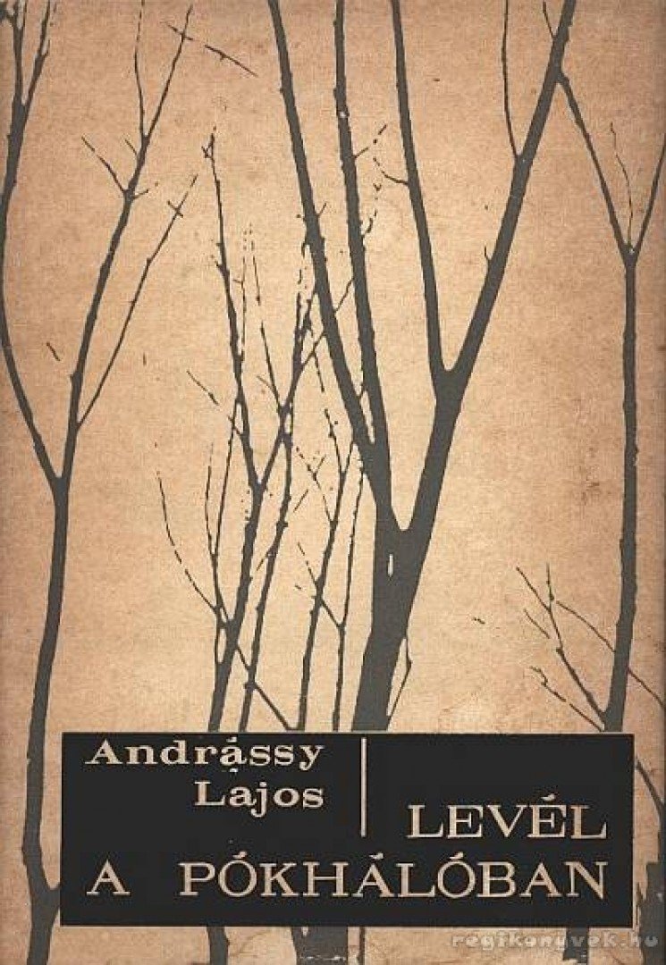 Andrássy Lajos - Levél a pókhálóban [antikvár]