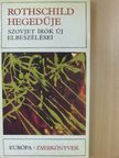 Alekszandr Ruszov - Rothschild hegedűje [antikvár]