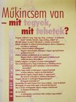 Dr. Buzinkay Péter - Műkincsem van - mit tegyek, mit tehetek? [antikvár]
