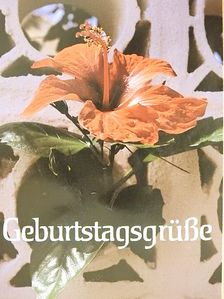 Gerhard Hopfer - Geburtstagsgrüße [antikvár]