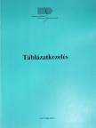 Táblázatkezelés [antikvár]