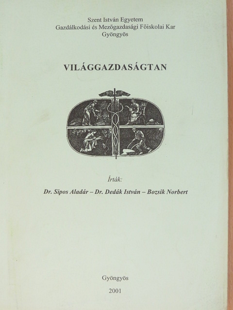 Bozsik Norbert - Világgazdaságtan [antikvár]