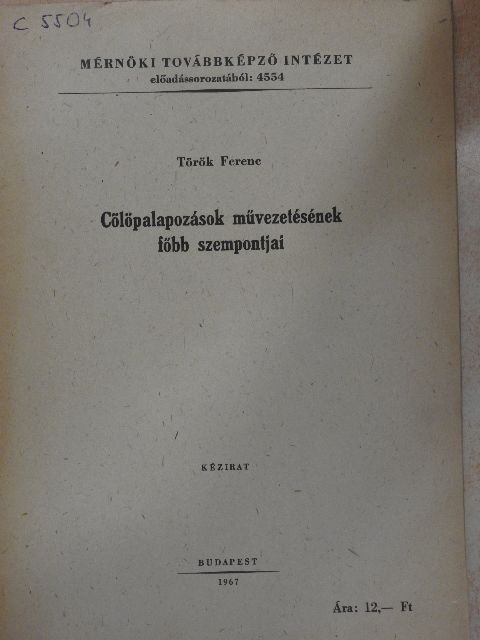 Török Ferenc - Cölöpalapozások művezetésének főbb szempontjai [antikvár]