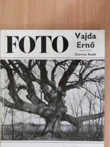 Kollányi Ágoston - Dr. Vajda Ernő munkássága [antikvár]
