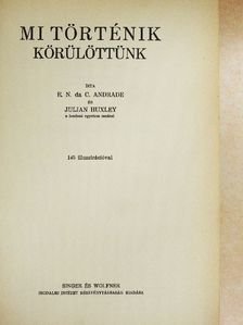 Andrade - Mi történik körülöttünk [antikvár]