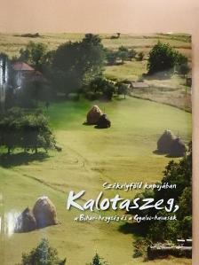 Fucskár Ágnes - Székelyföld kapujában [antikvár]