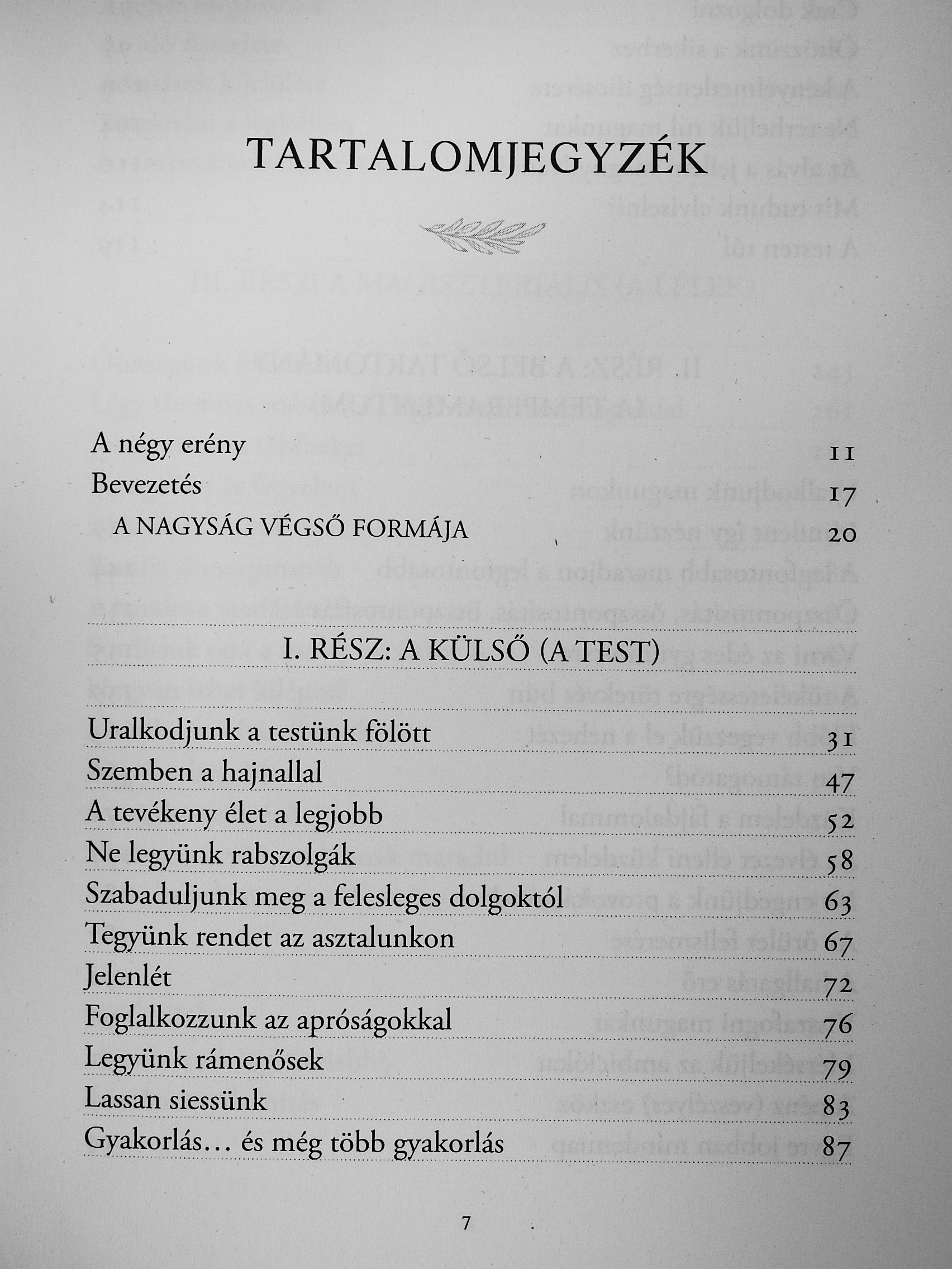 Ryan Holiday - A fegyelem a sors [antikvár]
