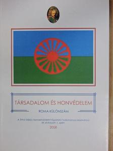 Demeter Judit - Társadalom és honvédelem 2008/1. - Roma Különszám [antikvár]