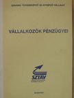 Kauffmann Éva - Vállalkozók pénzügyei [antikvár]