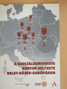 Bíró-Nagy András - A szociáldemokrata pártok helyzete Kelet-Közép-Európában [antikvár]