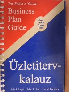 Brian R. Ford - Ernst & Young Üzletitervkalauz [antikvár]