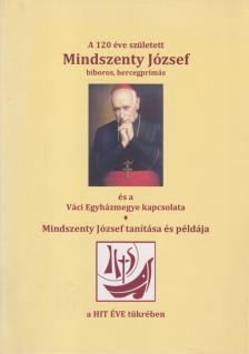 Pálos Frigyes - Mindszenty József bíboros, hercegprímás a Váci Egyházmegye kapcsolata [antikvár]