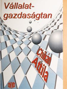 Chikán Attila - Vállalatgazdaságtan [antikvár]