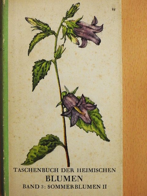 Fritz Koch - Blumen 3. [antikvár]